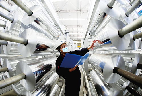 争分夺秒干项目 全力以赴促发展——智能研发驱动未来